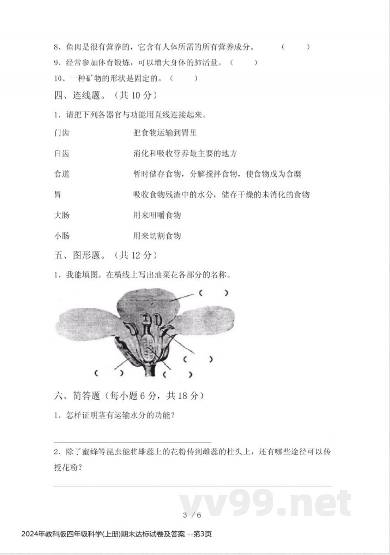 2024年教科版四年级科学(上册)期末达标试卷及答案 2024年教科版四年级科学(上册)期末达标试卷及答案