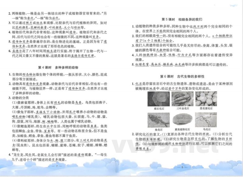 教科版六年级下册科学单元知识梳理 教科版六年级下册科学单元知识梳理