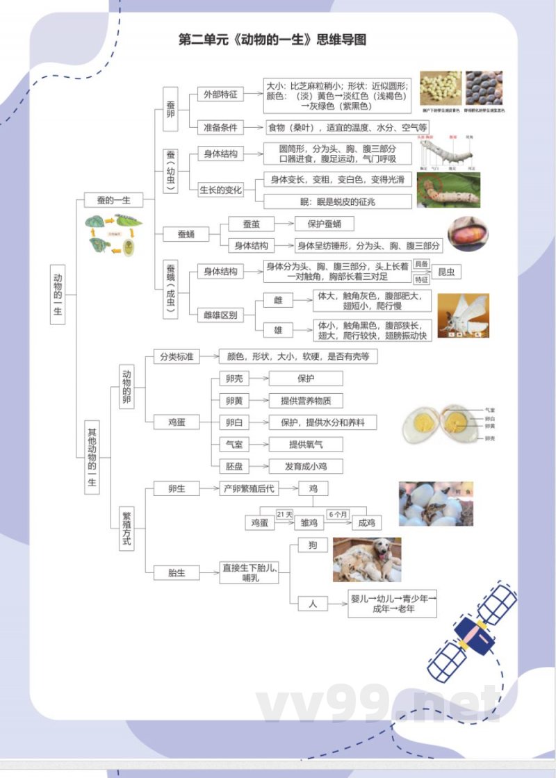 教科版科学三年级下册思维导图 教科版科学三年级下册思维导图