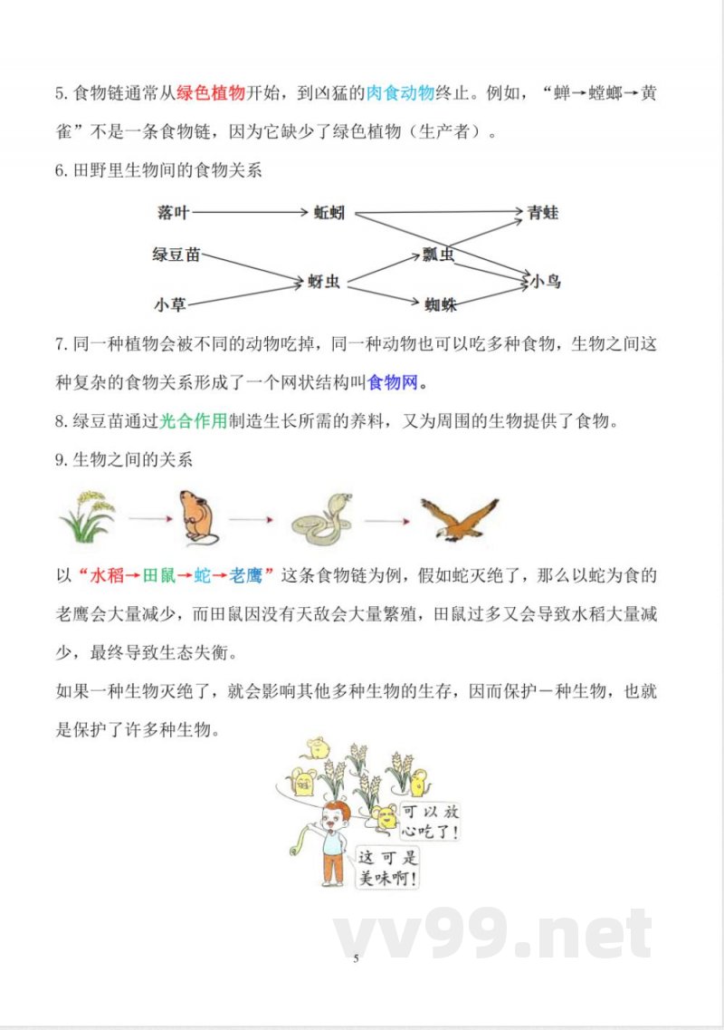 新改版教科版五年级下册科学全册知识点