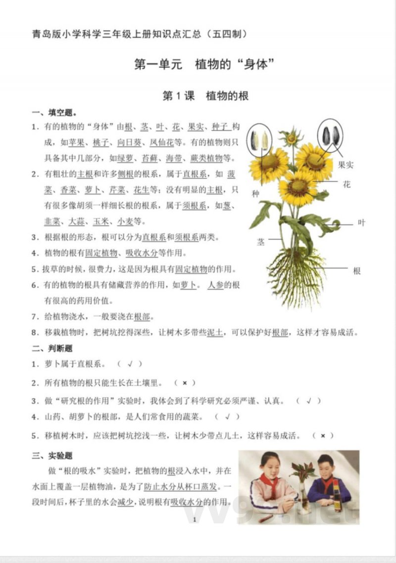 青岛版小学科学三年级上册知识点汇总(五四制) 青岛版小学科学三年级上册知识点汇总(五四制)