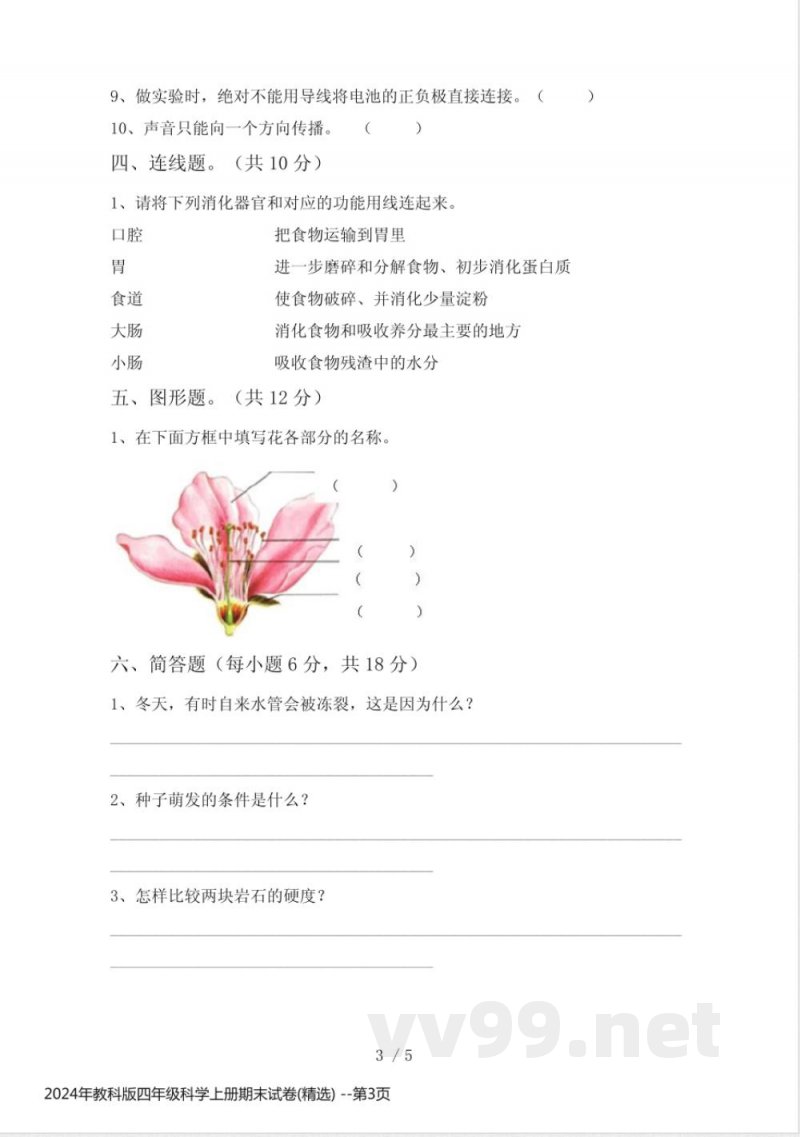 2024年教科版四年级科学上册期末试卷(精选) 2024年教科版四年级科学上册期末试卷(精选)