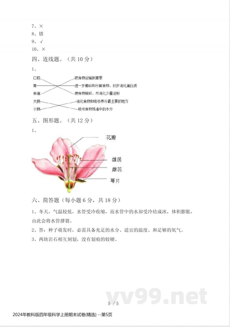 2024年教科版四年级科学上册期末试卷(精选) 2024年教科版四年级科学上册期末试卷(精选)