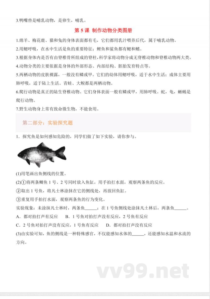 2025青岛版三年级科学上册全册单元知识清单