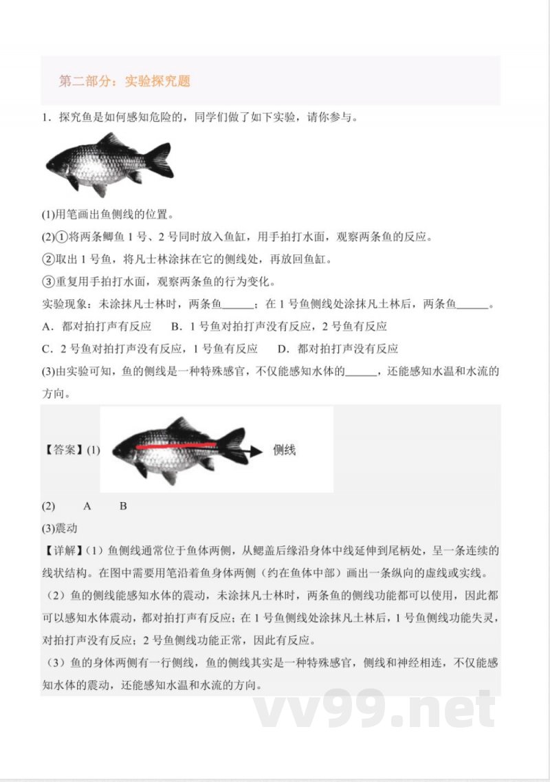 第一单元动物王国（知识清单）科学青岛版三年级上册2025