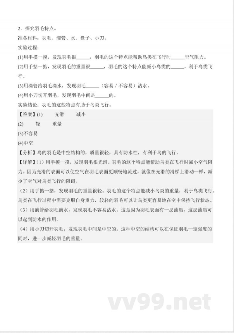 第一单元动物王国（知识清单）科学青岛版三年级上册2025