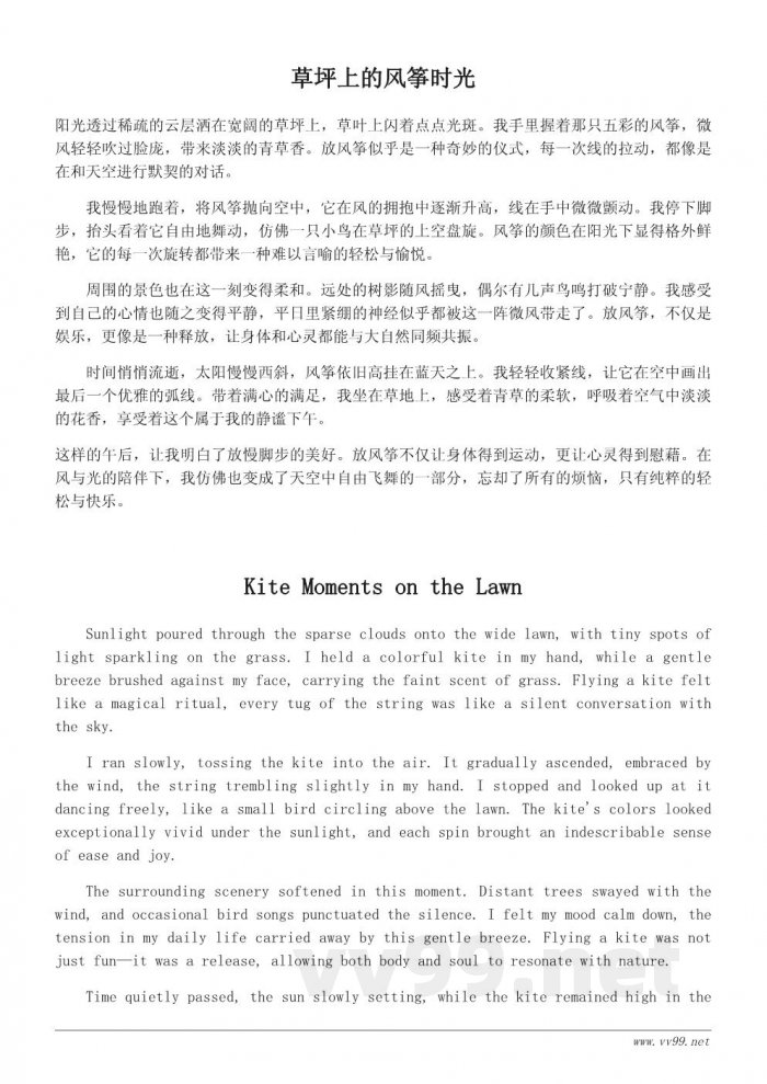 风筝飞翔:草坪上的悠闲下午时光 风筝飞翔:草坪上的悠闲下午时光