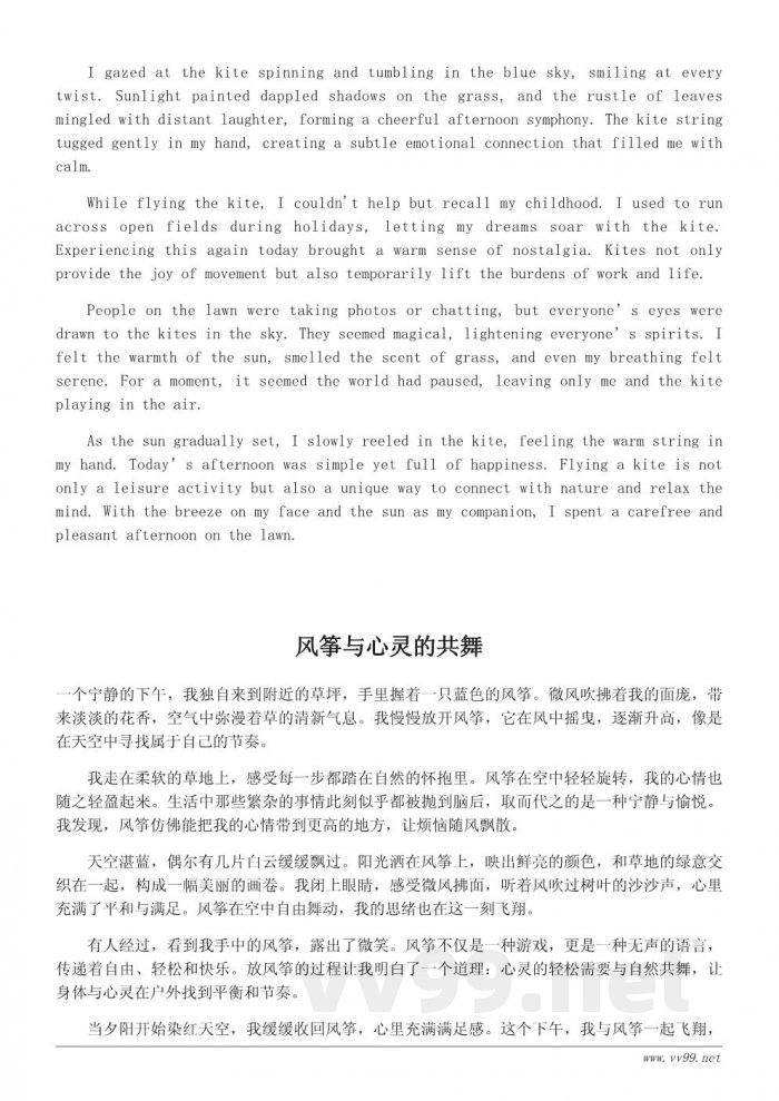 风筝飞翔:草坪上的悠闲下午时光 风筝飞翔:草坪上的悠闲下午时光