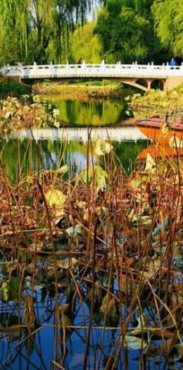 学生秋游-唯久文档